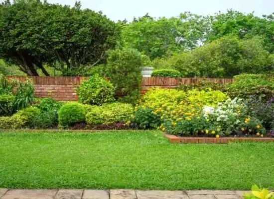 landscaping services Coldwater